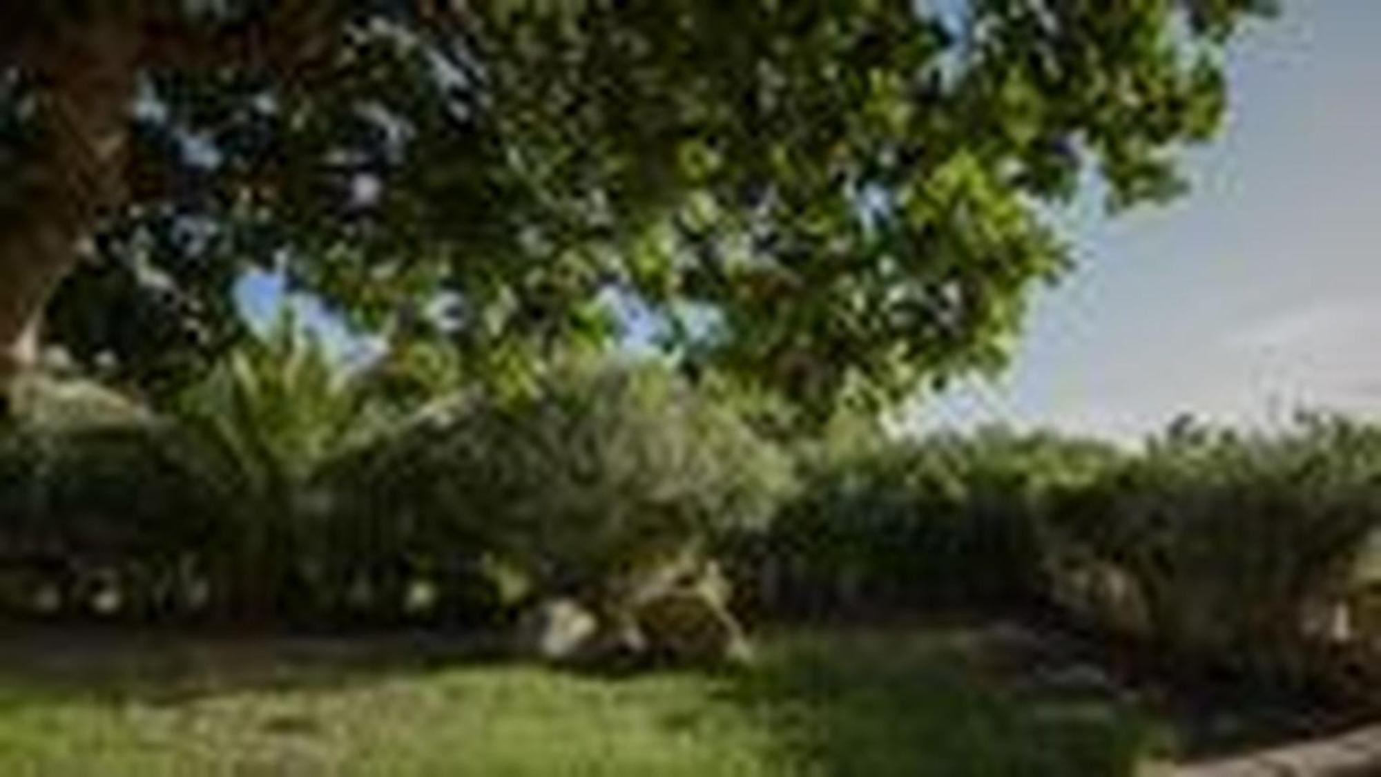 Welcomely - Villa Adele Costa Rei Exterior photo