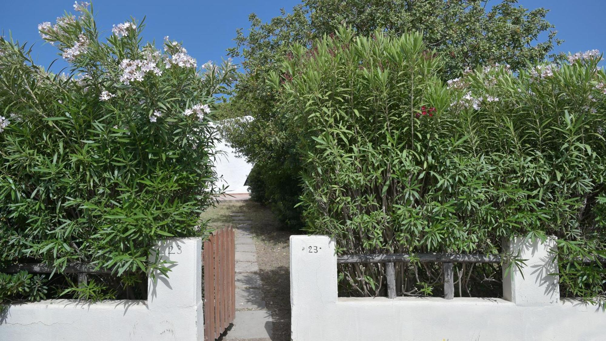 Welcomely - Villa Adele Costa Rei Exterior photo